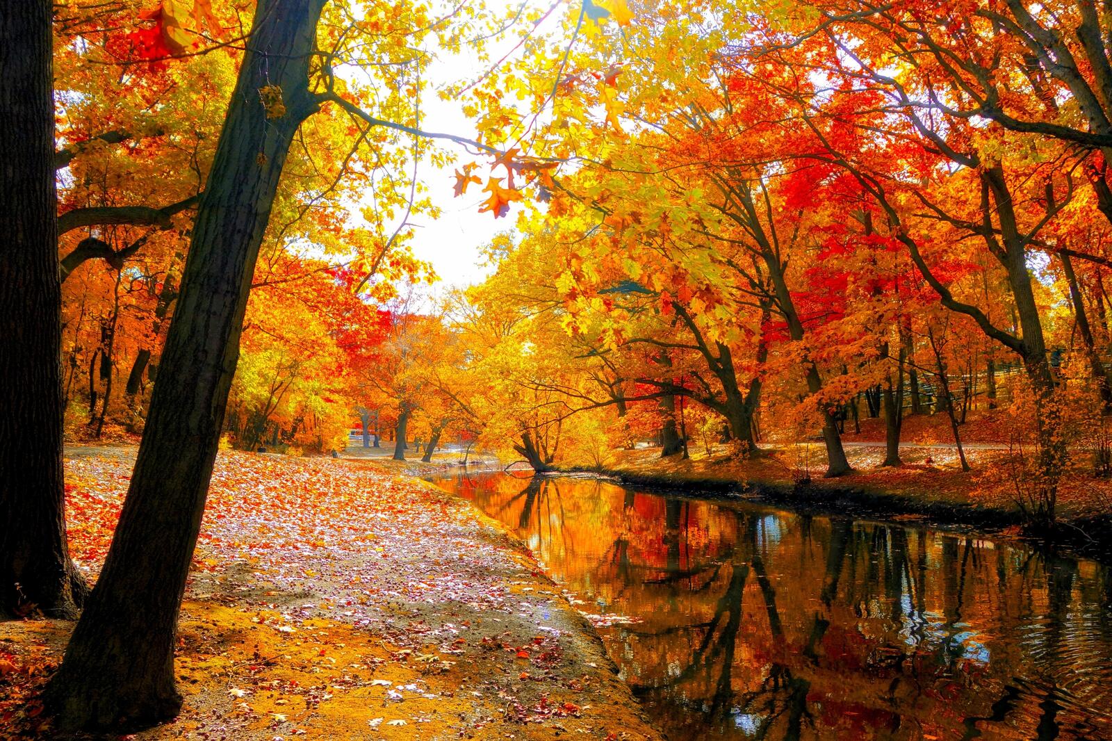 Обои река красочный день листья на рабочий стол