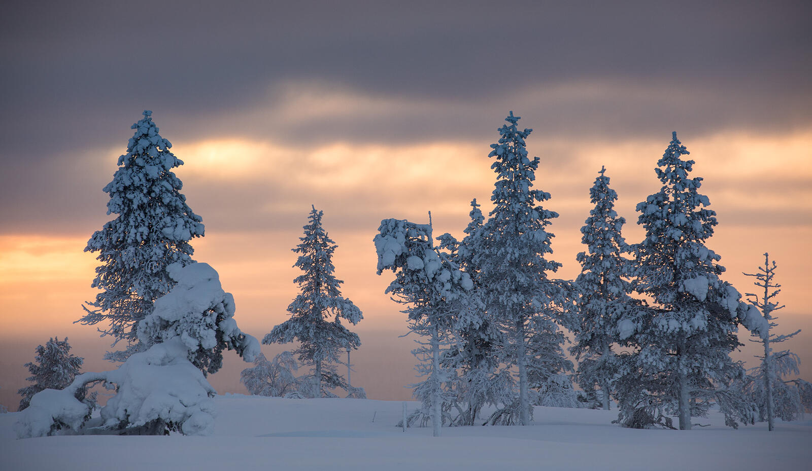 桌面上的壁纸芬兰 日落 冬季