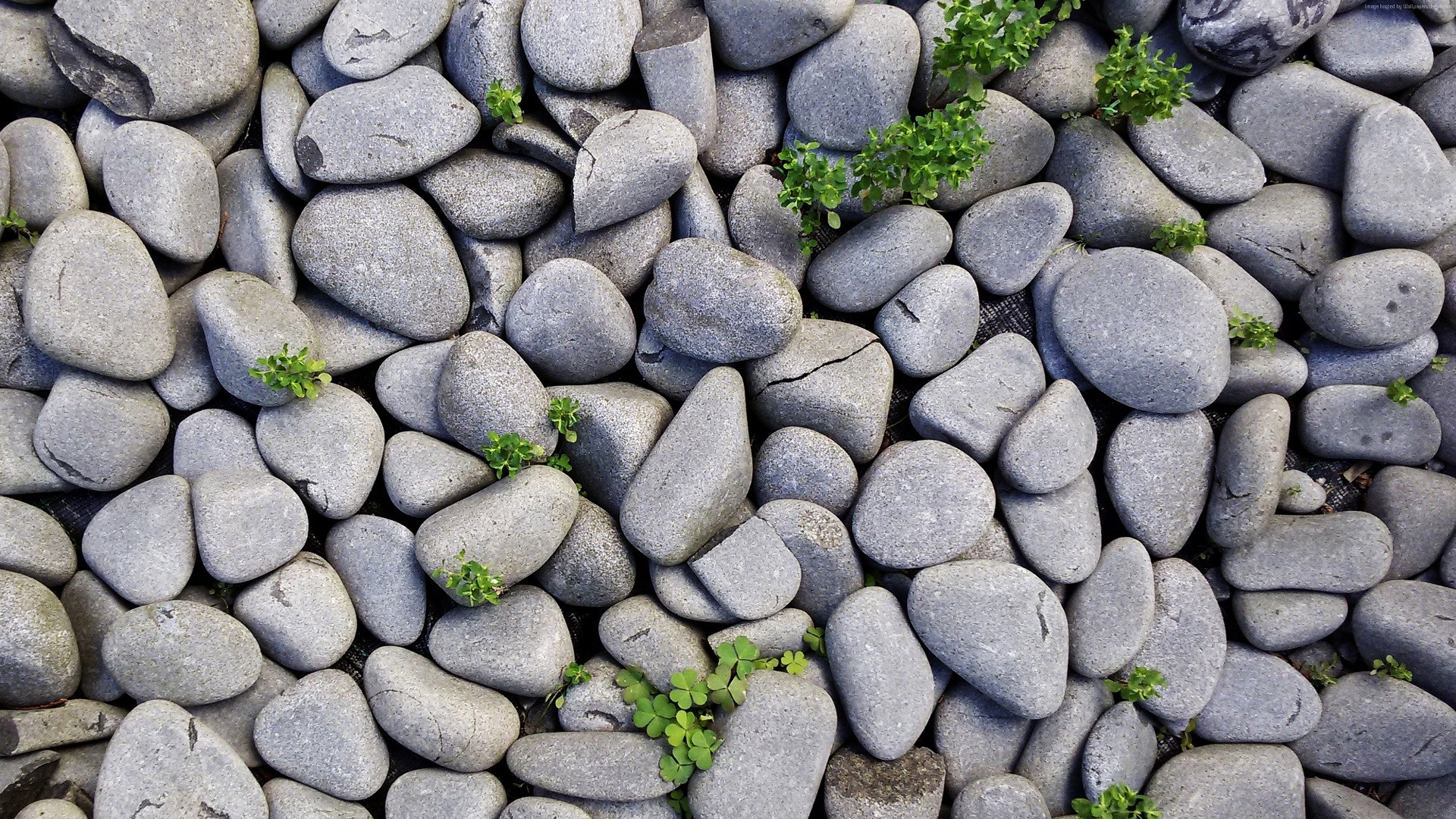 Photo free stones, shore, rocky shore