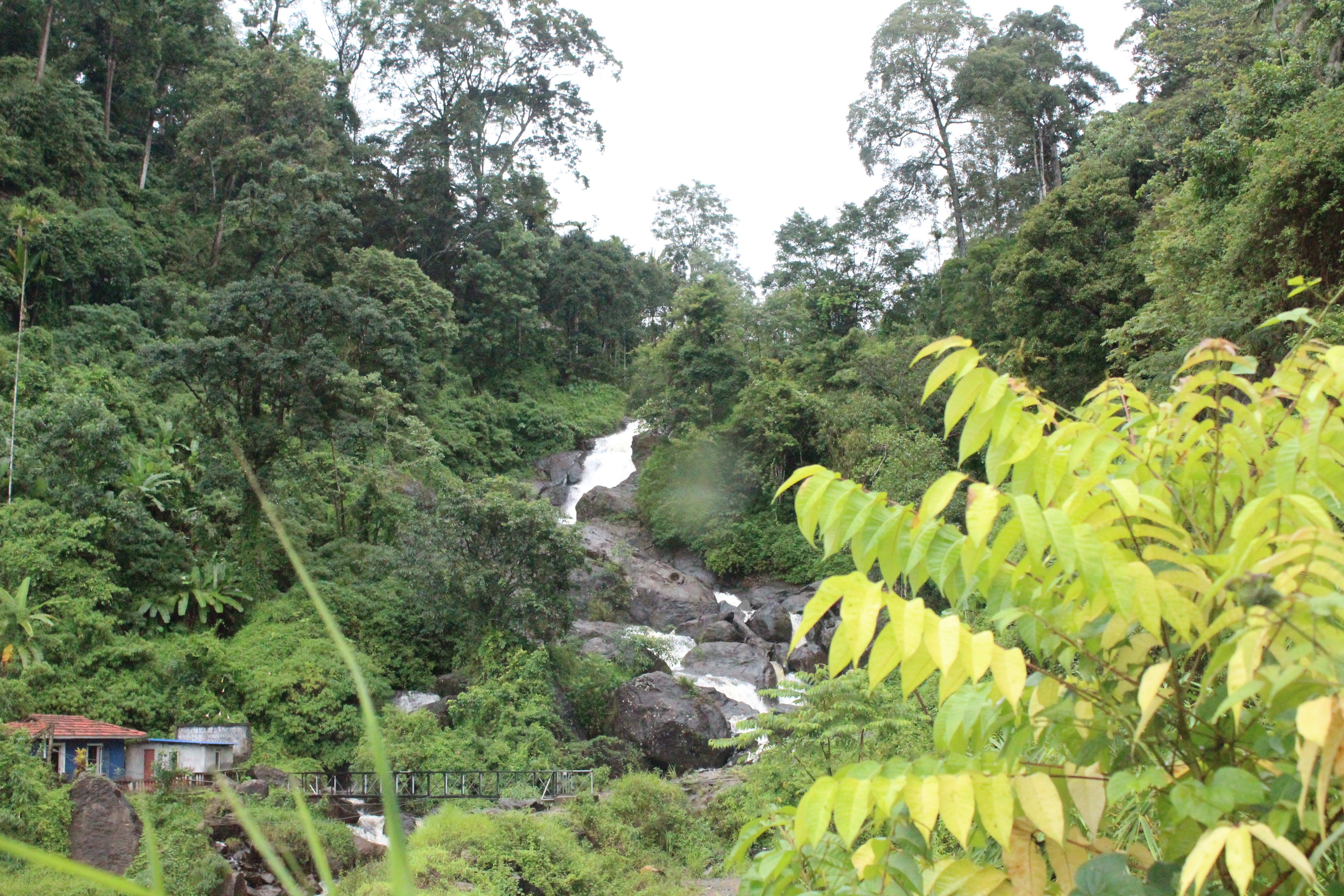 Фото бесплатно обои водопад, лес, мост