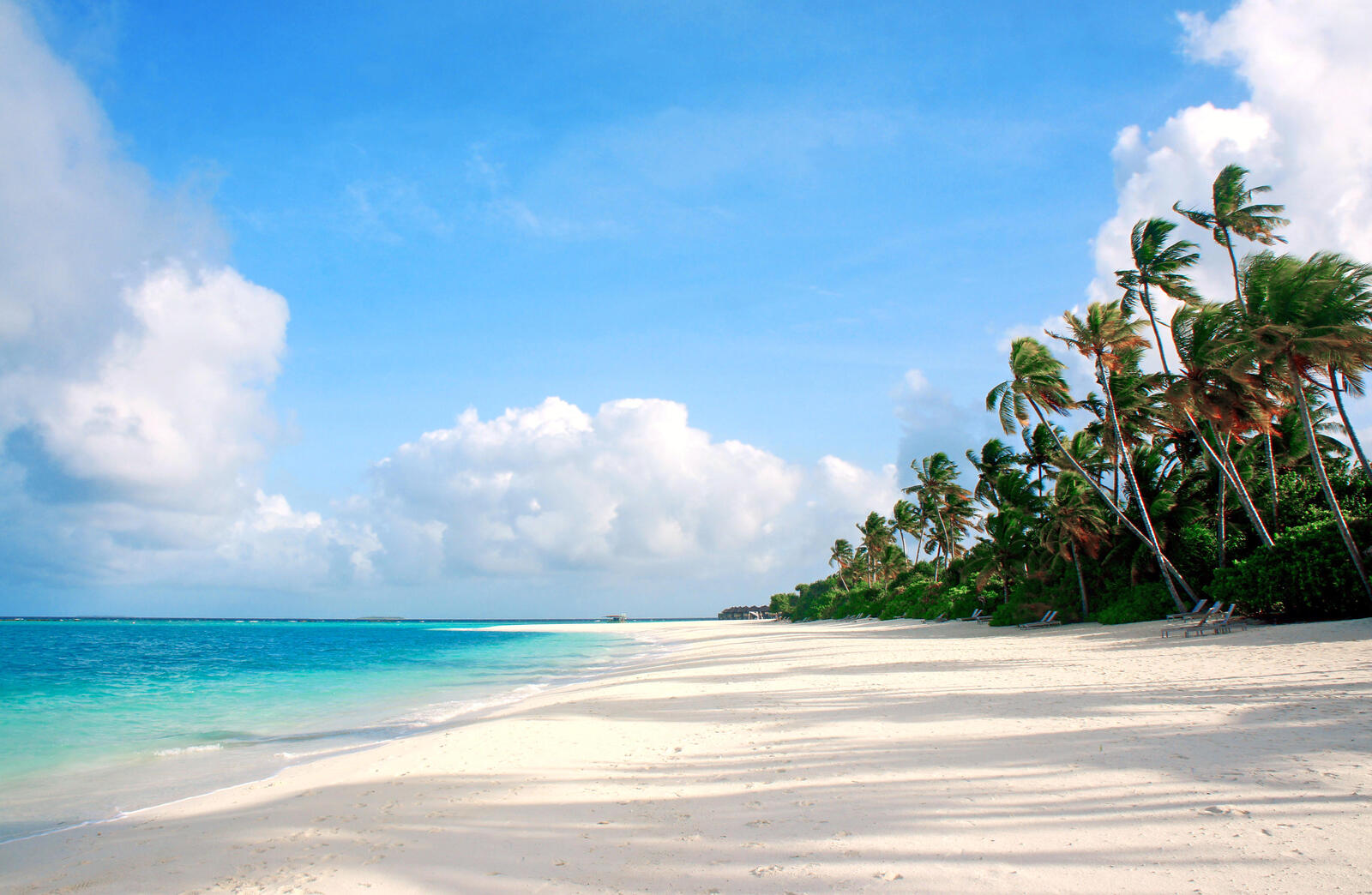 Бесплатное фото Фотографии пляж, остров на телефон