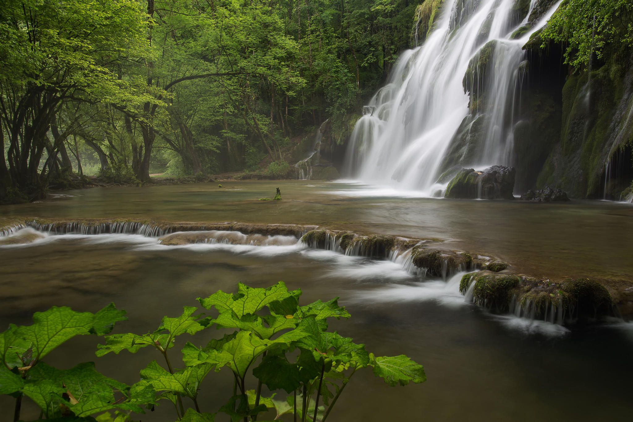 Фото бесплатно водопад, водоём, деревья
