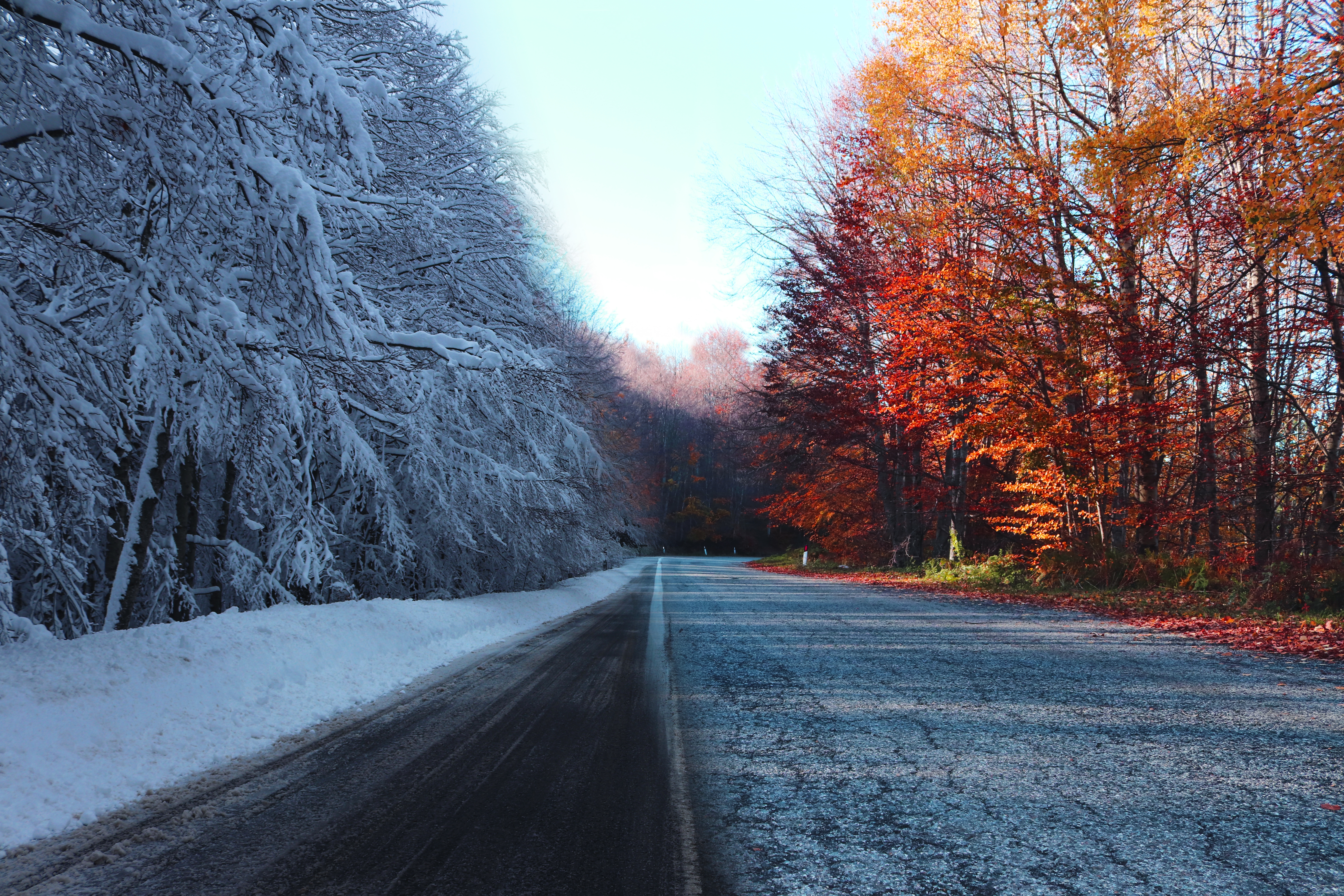 Обои обои осень и зима живописный дорога на рабочий стол