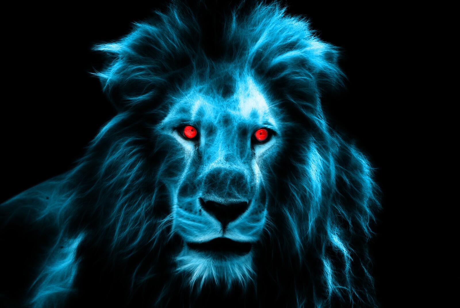 Wallpapers big cats wallpaper blue lion red eyes on the desktop
