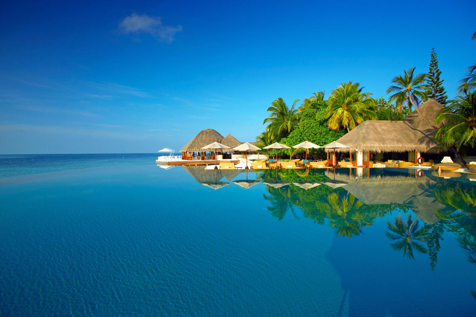 Обои море Мальдивы пальмы на рабочий стол