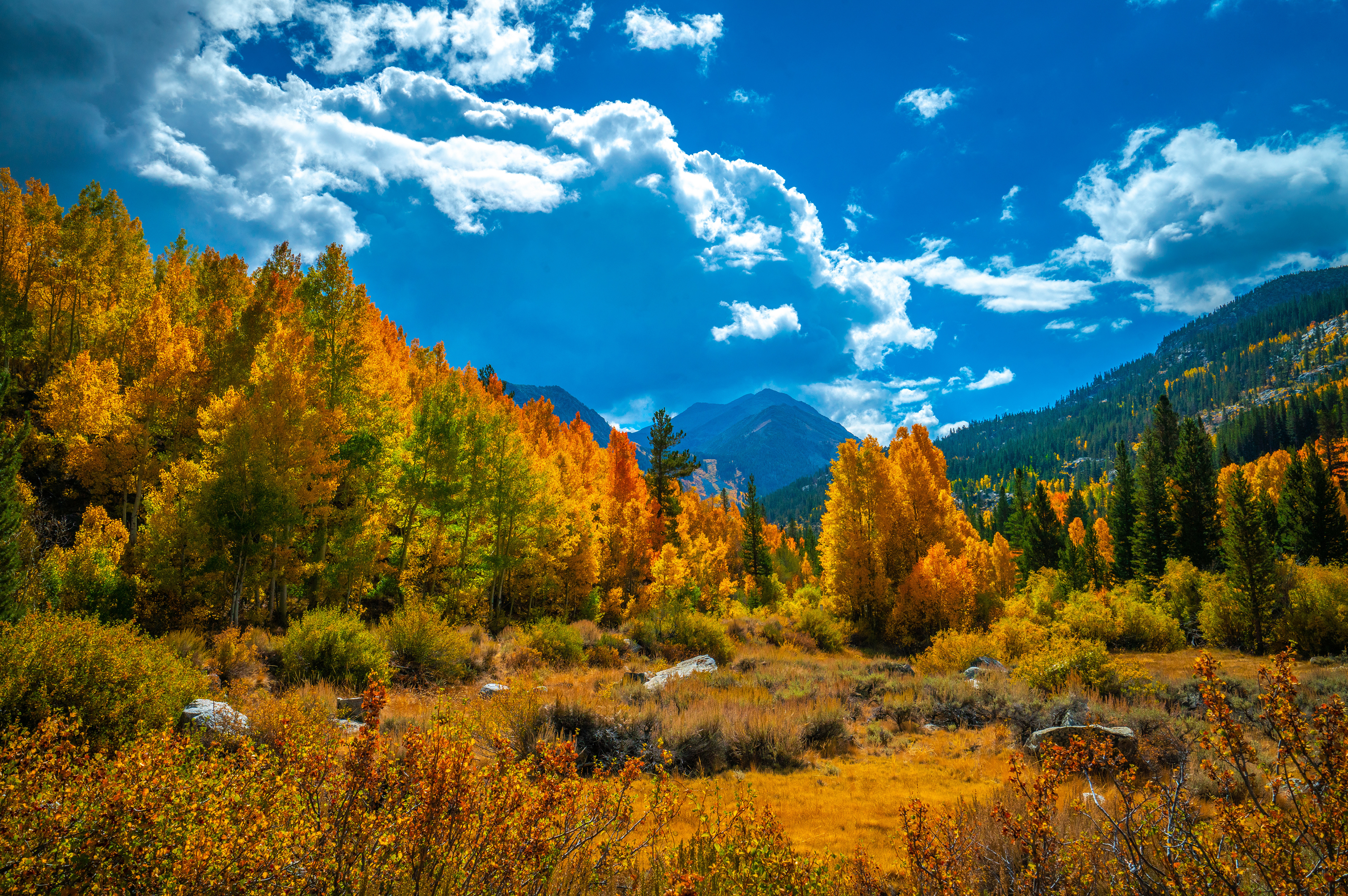 Wallpapers scenery autumn scenery mountains california on the desktop