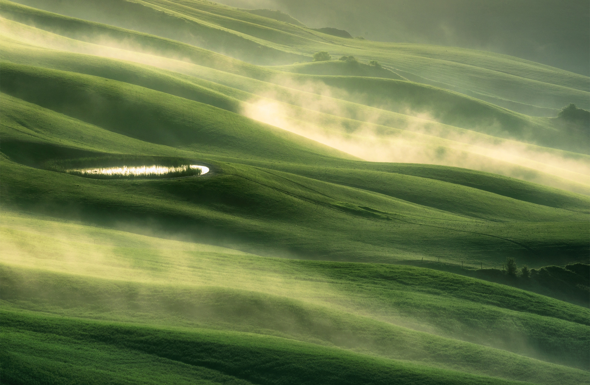 Wallpapers Tuscany field fog on the desktop