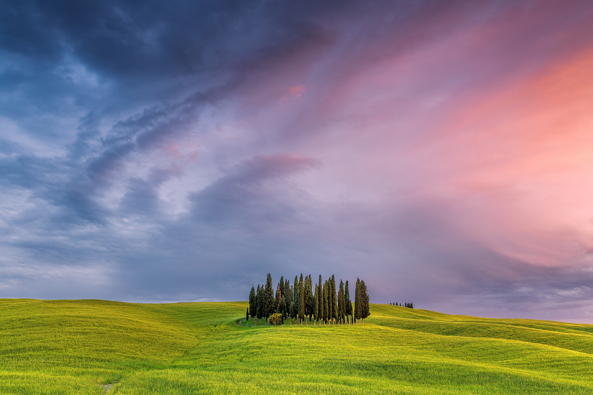 Фото бесплатно пейзажи, трава, Тоскана