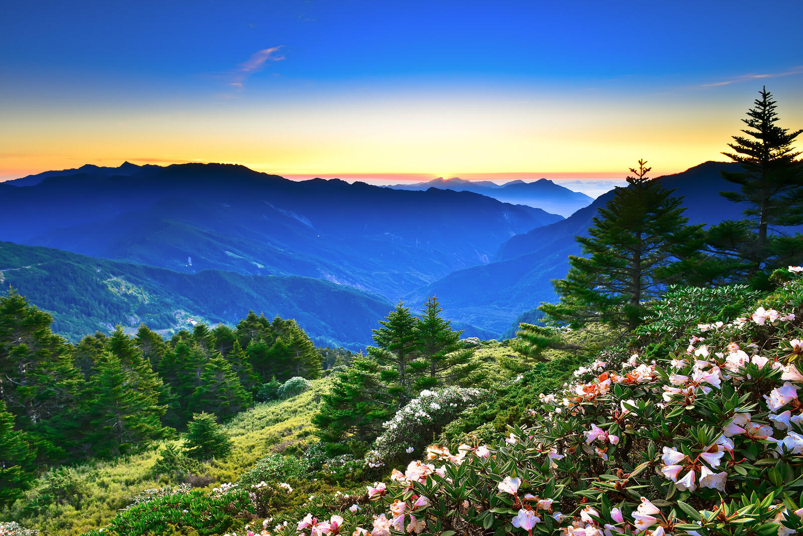 Wallpapers sunset mountains wildflowers on the desktop