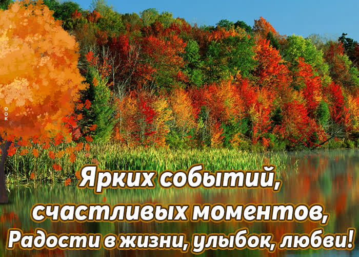 一张以为你而爱 秋季 树木为主题的明信片