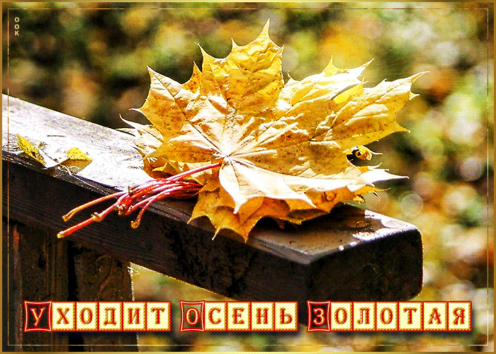Postcard card postcard yellow leaves the golden autumn is leaving - free greetings on Fonwall