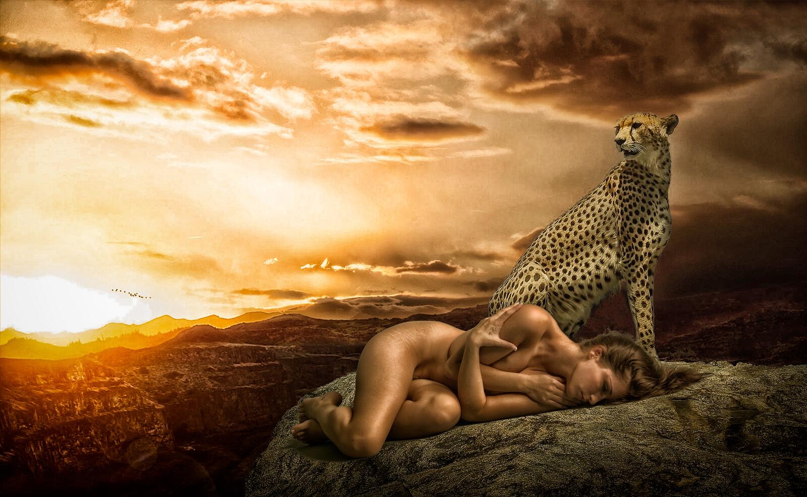 Обои закат Cheetah горы на рабочий стол