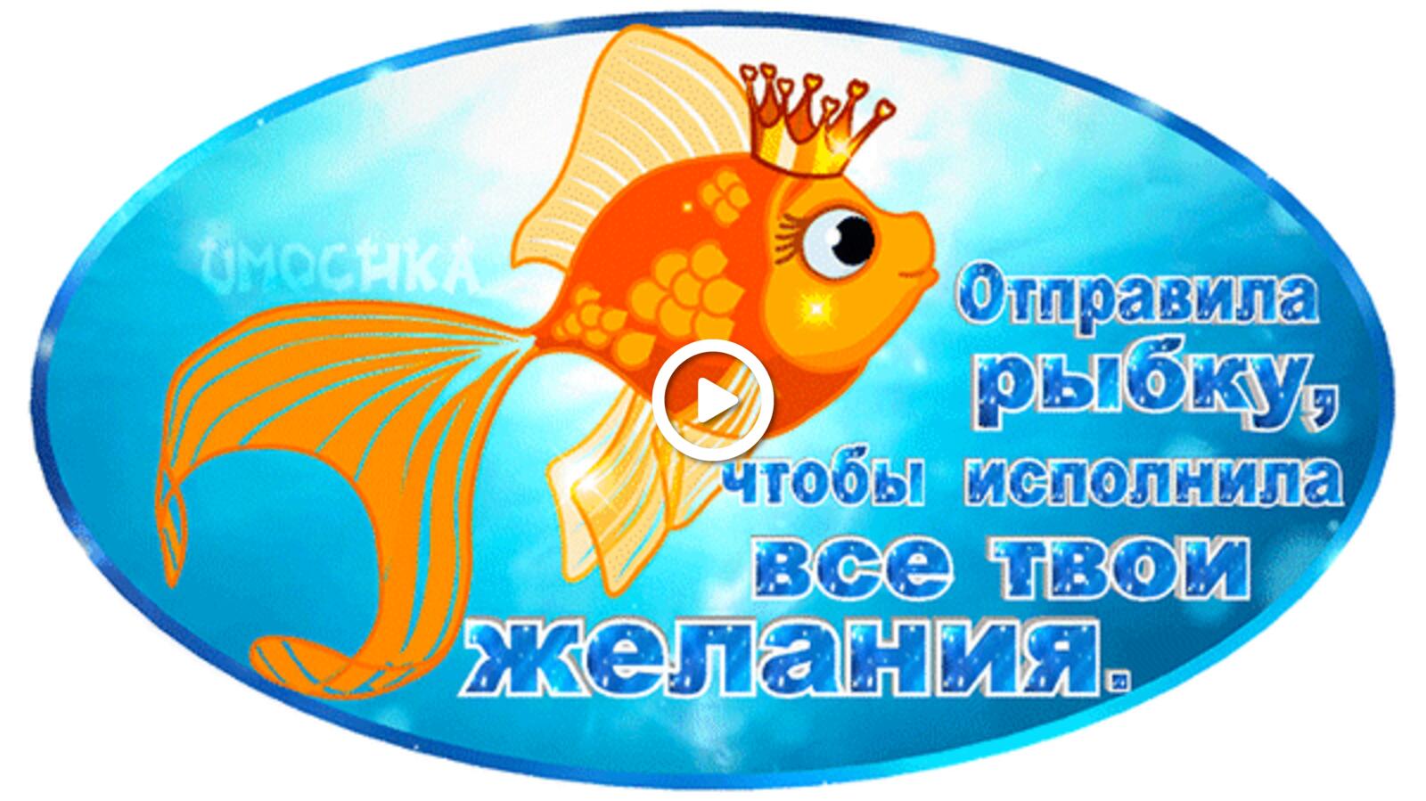 goldfish underwater world request