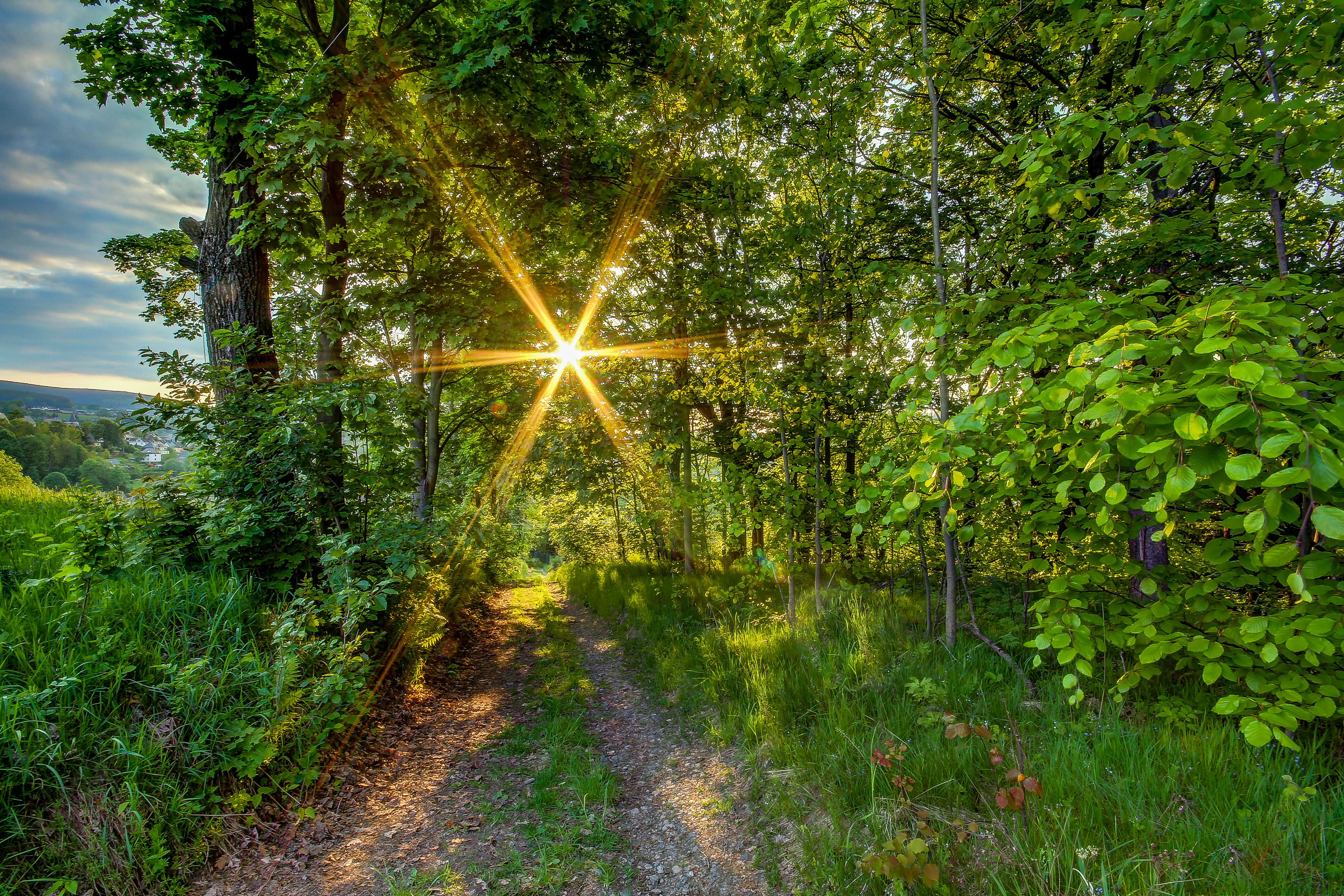 Фото бесплатно солнечные лучи, след, деревенская дорога