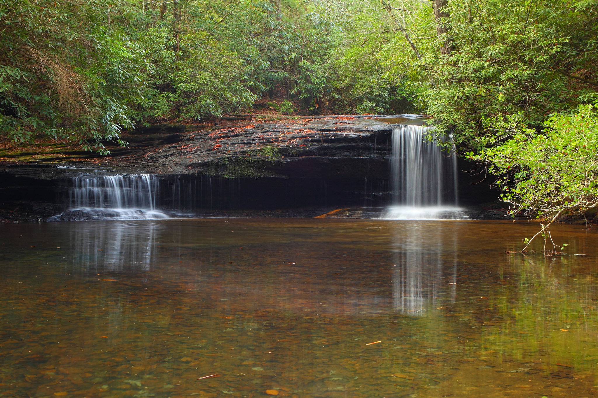 Бесплатное фото Водопад в джунглях
