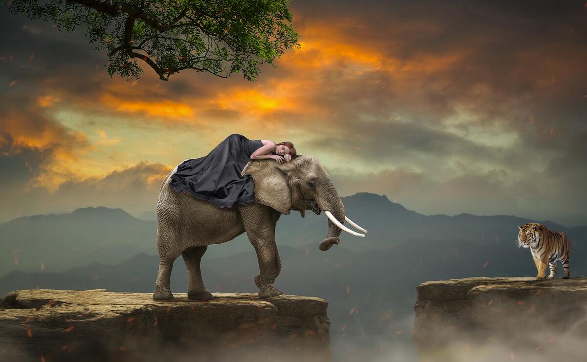 Слон и девушка спящая