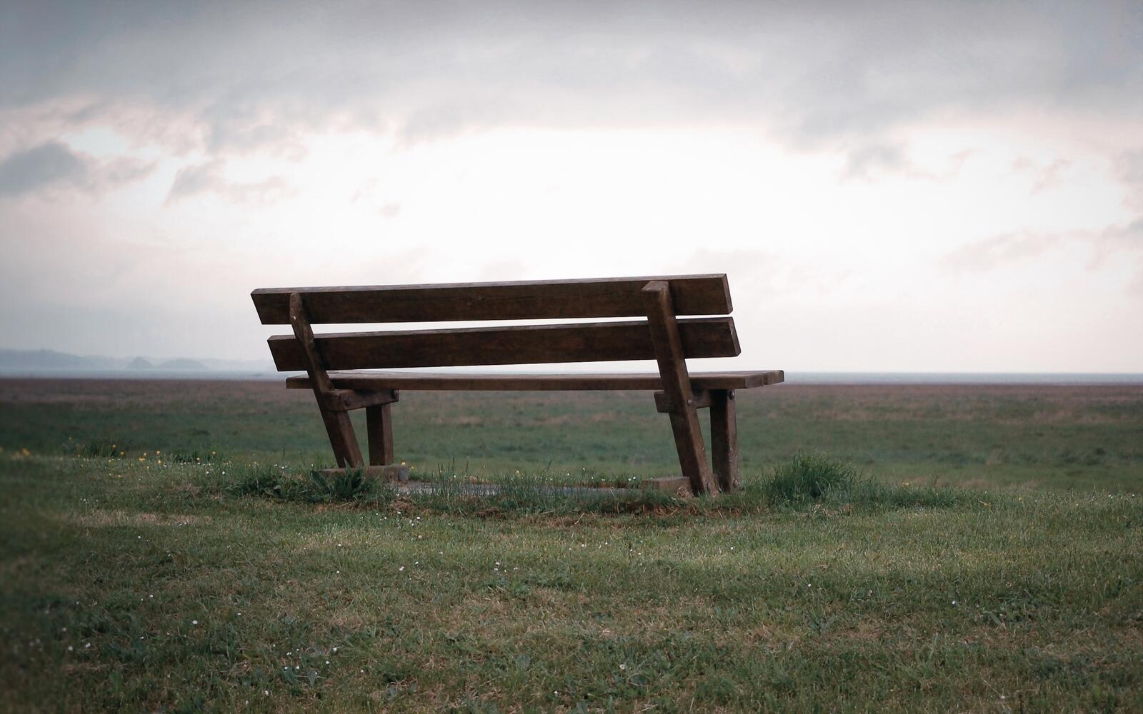 Wallpapers bench lonely grass on the desktop