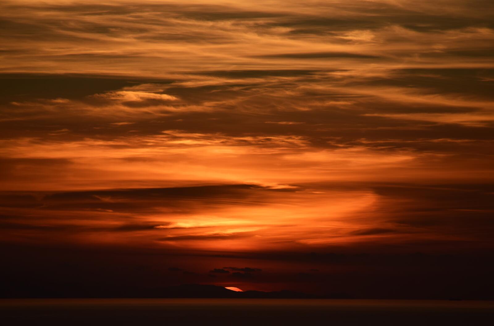 Бесплатное фото Саванна и удивительный закат