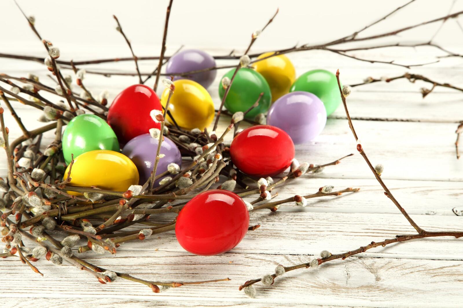 Бесплатное фото Цветные яйца в гнезде