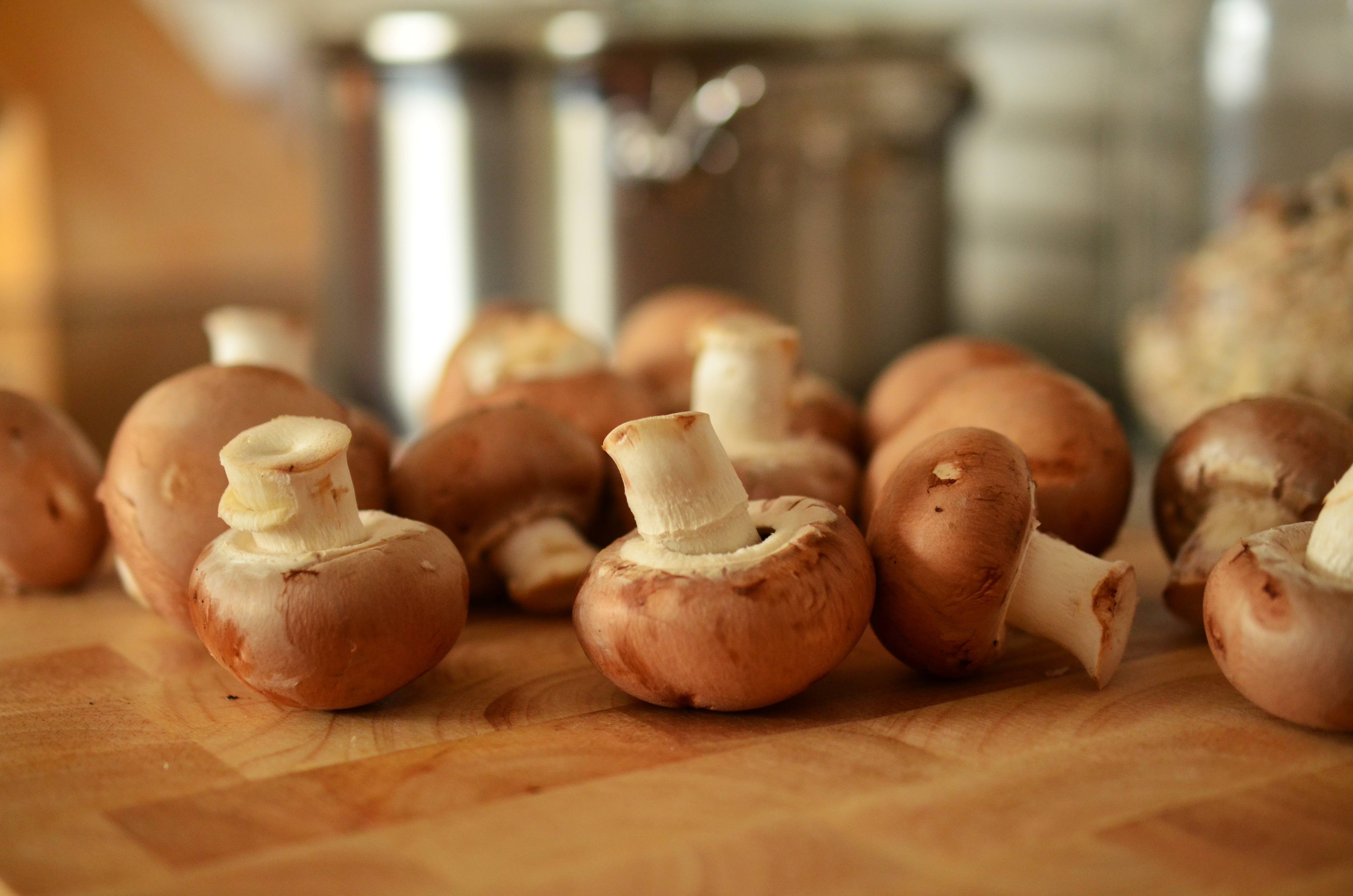 Photo free mushrooms, vegetables, food
