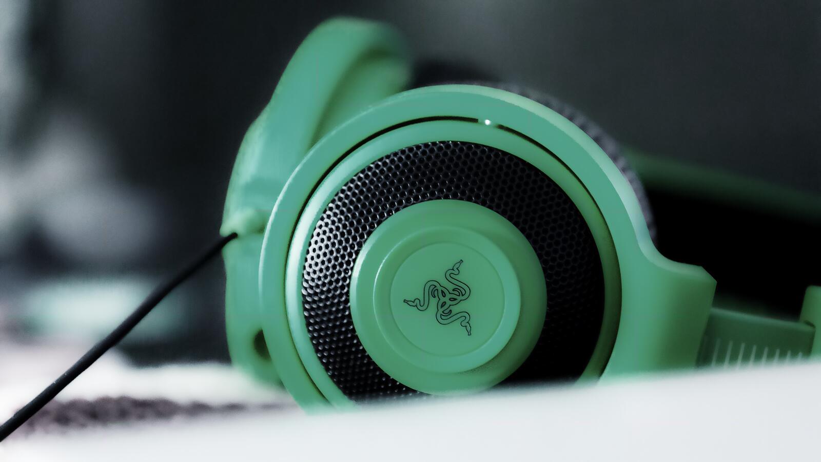 Wallpapers razer headphones green on the desktop