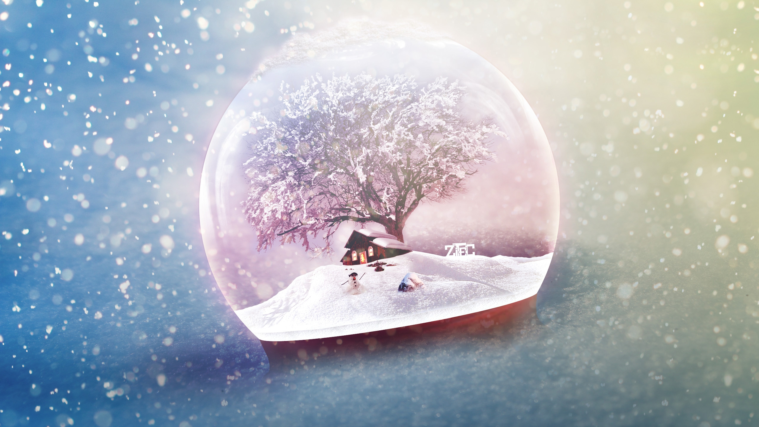 Фото бесплатно дерево, обои снежный шар, природа