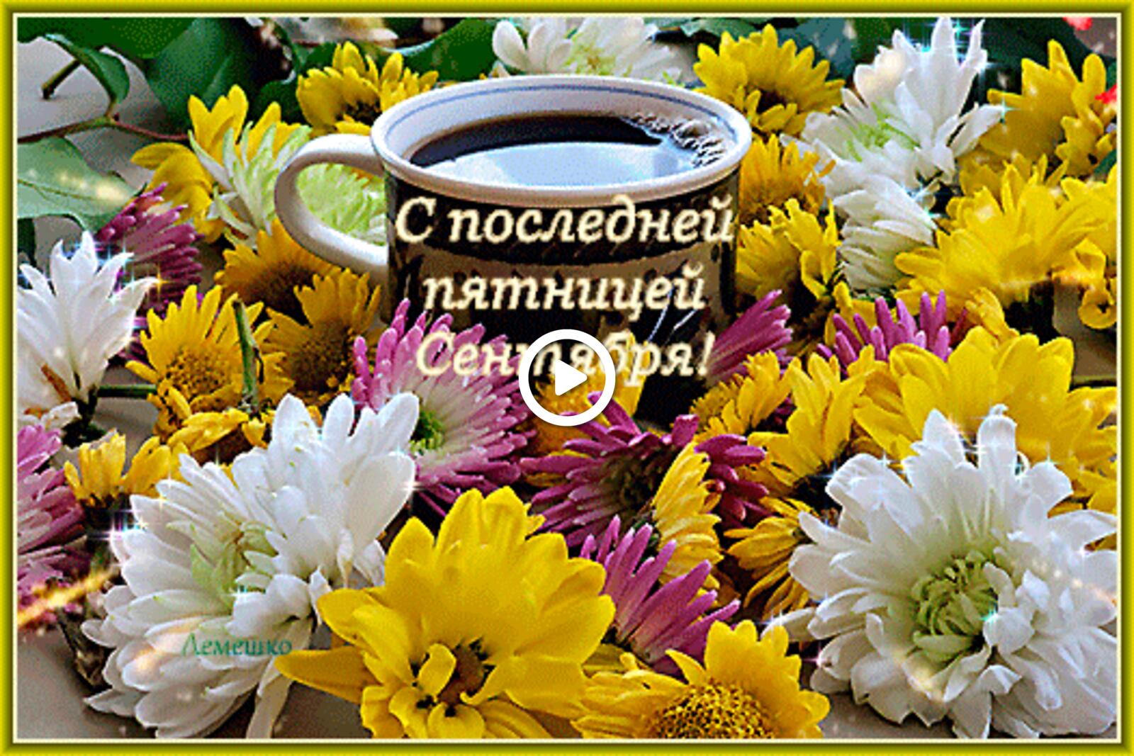 Открытка на тему разноцветные хризантемы чашечка кофе с последней пятницей сентября бесплатно