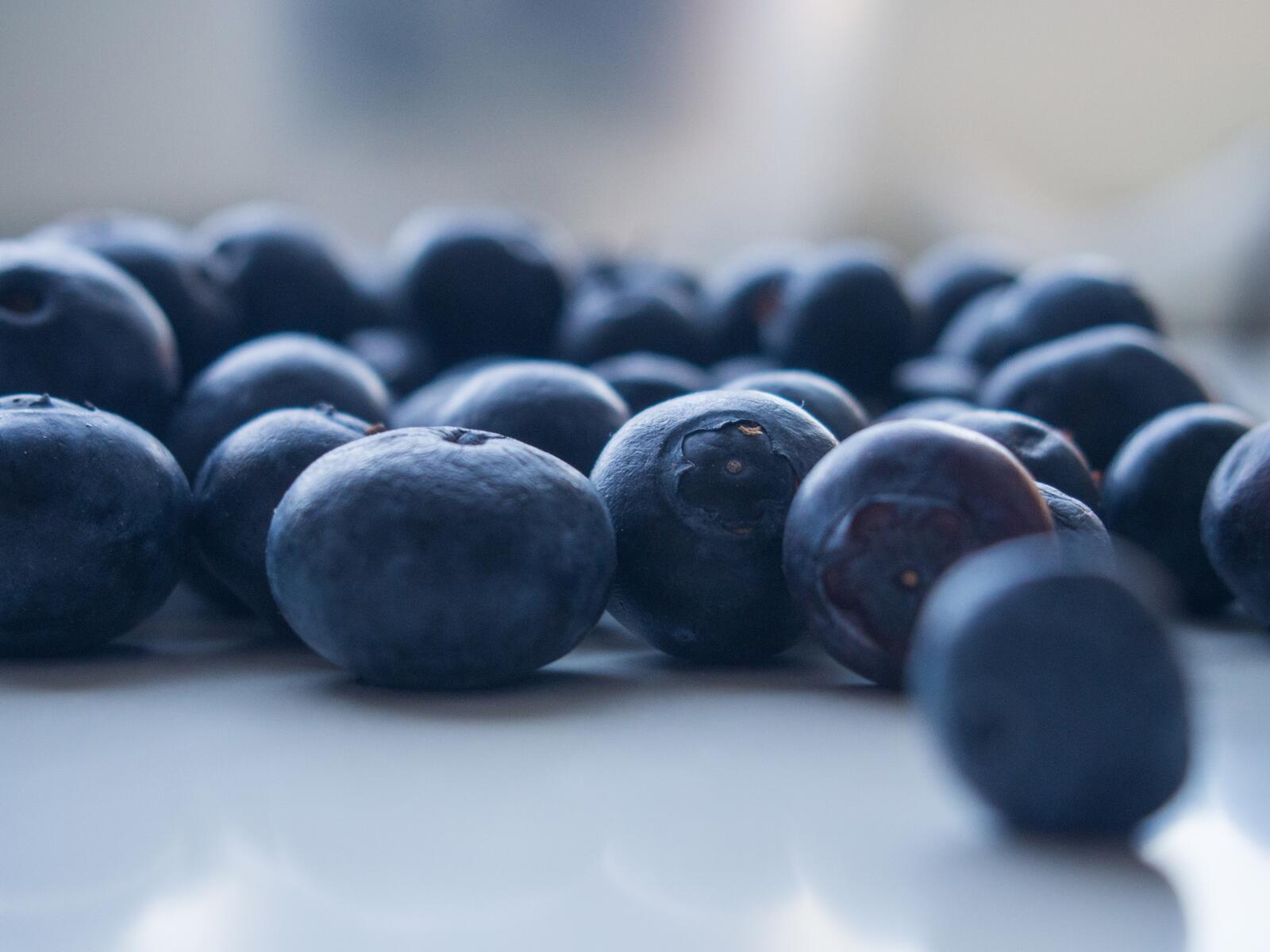 Wallpapers blueberries macro fruits on the desktop