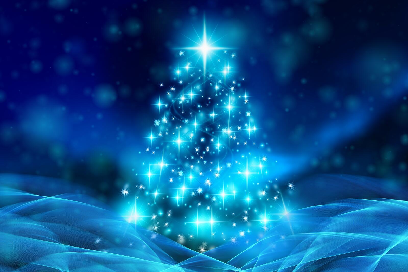 Wallpapers happy new year 2019 wallpaper blue christmas tree holiday on the desktop