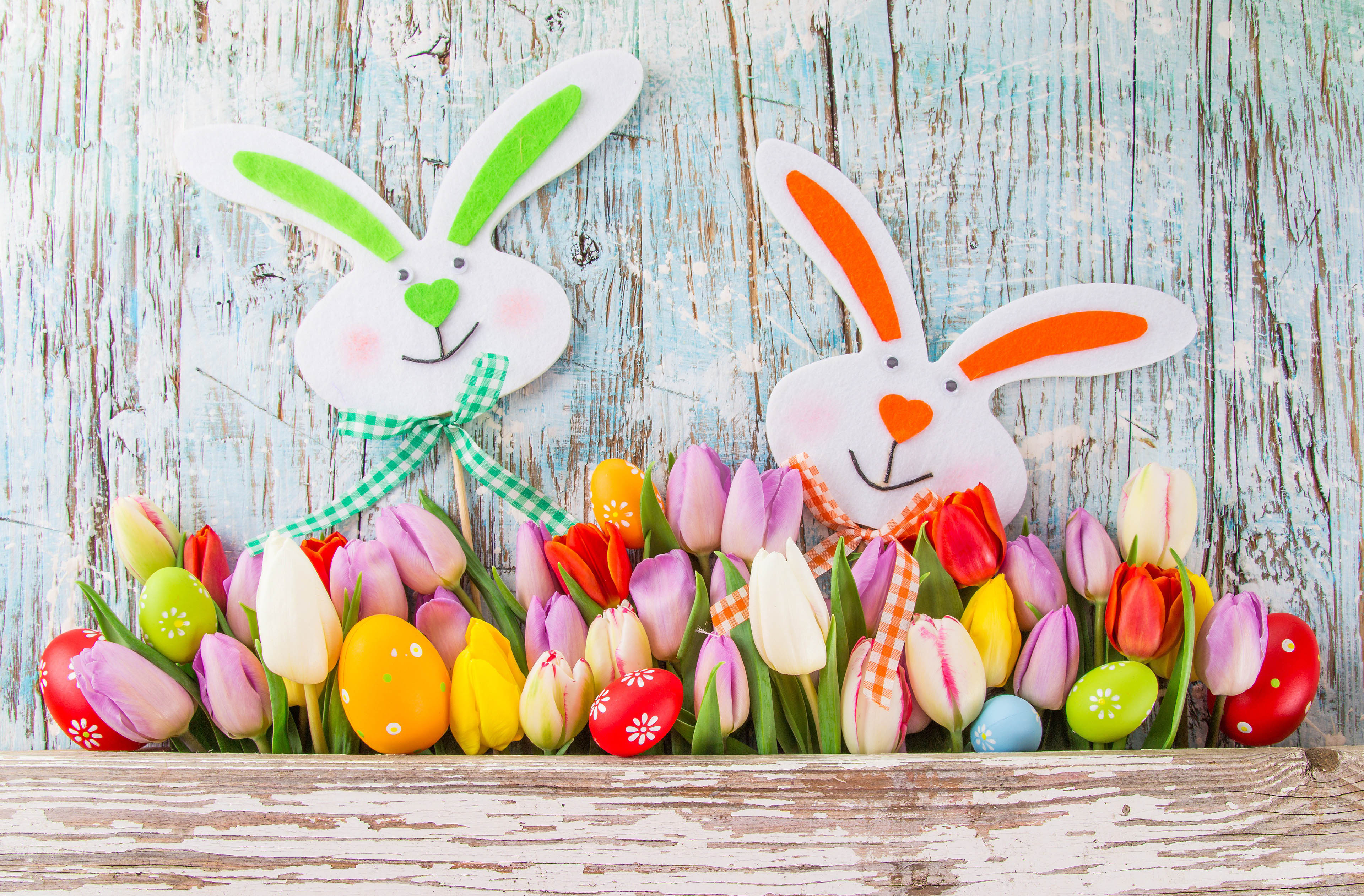 Photo free hares, colored eggs, tulips