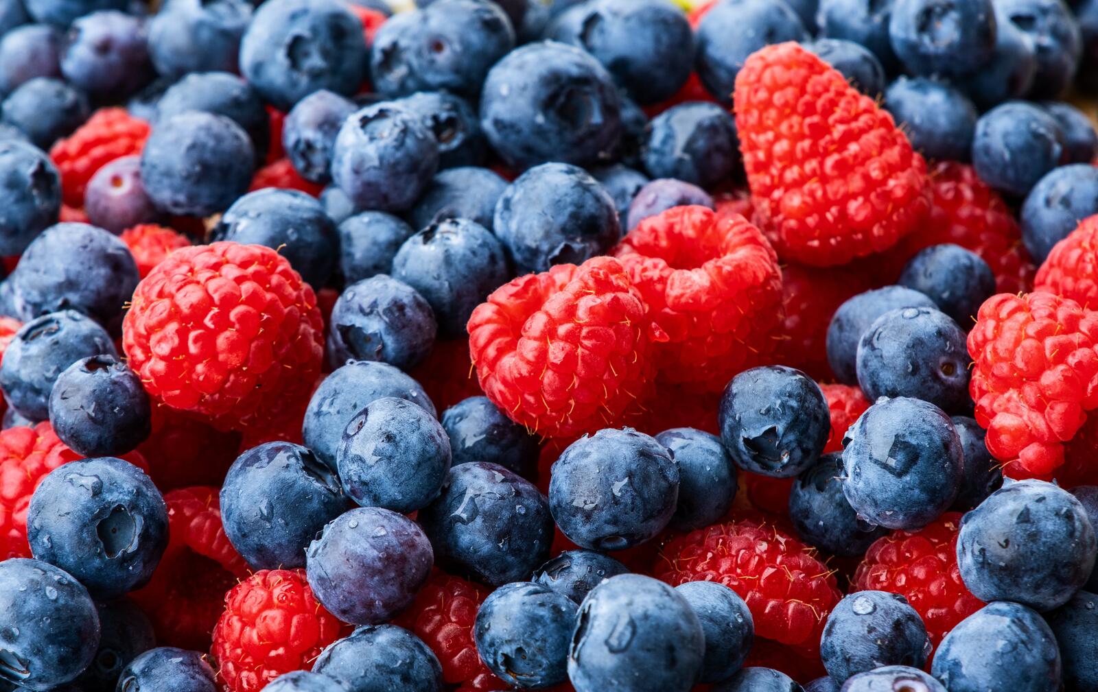 Wallpapers food raspberry blueberry on the desktop