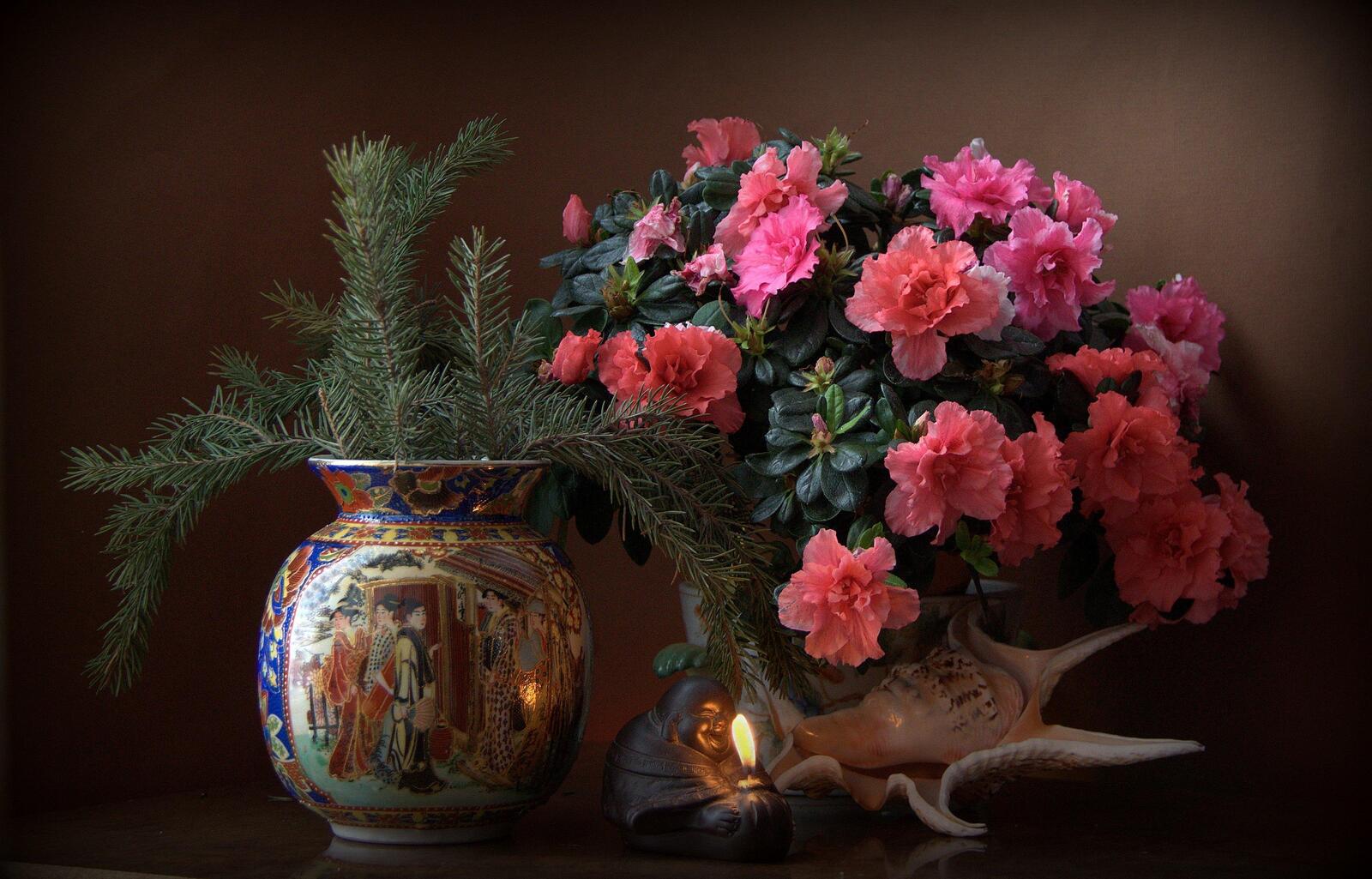 Обои раковины Азалия цветы на рабочий стол