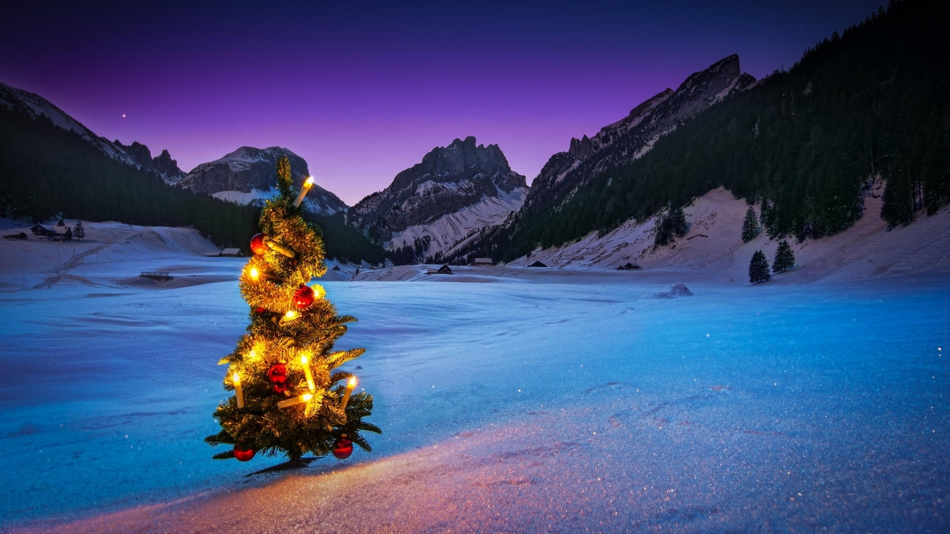 Обои рождественская елка с новым годом праздники на рабочий стол