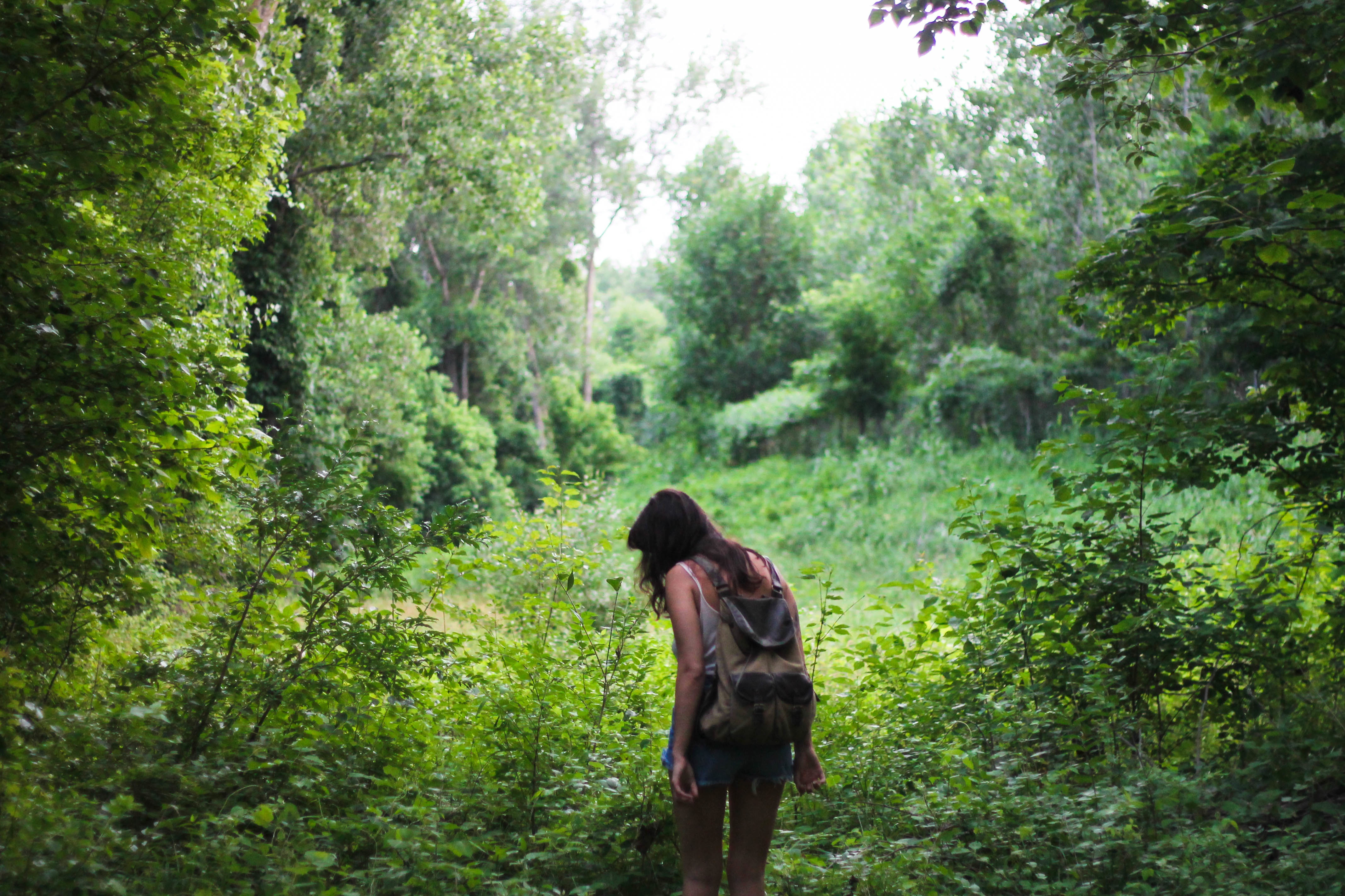 Фото бесплатно джунгли, путешествие, ходить