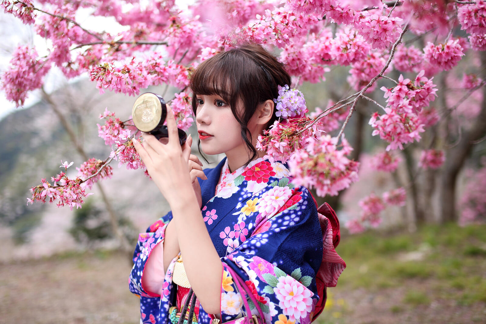 Wallpapers female cherry blossom kimono on the desktop