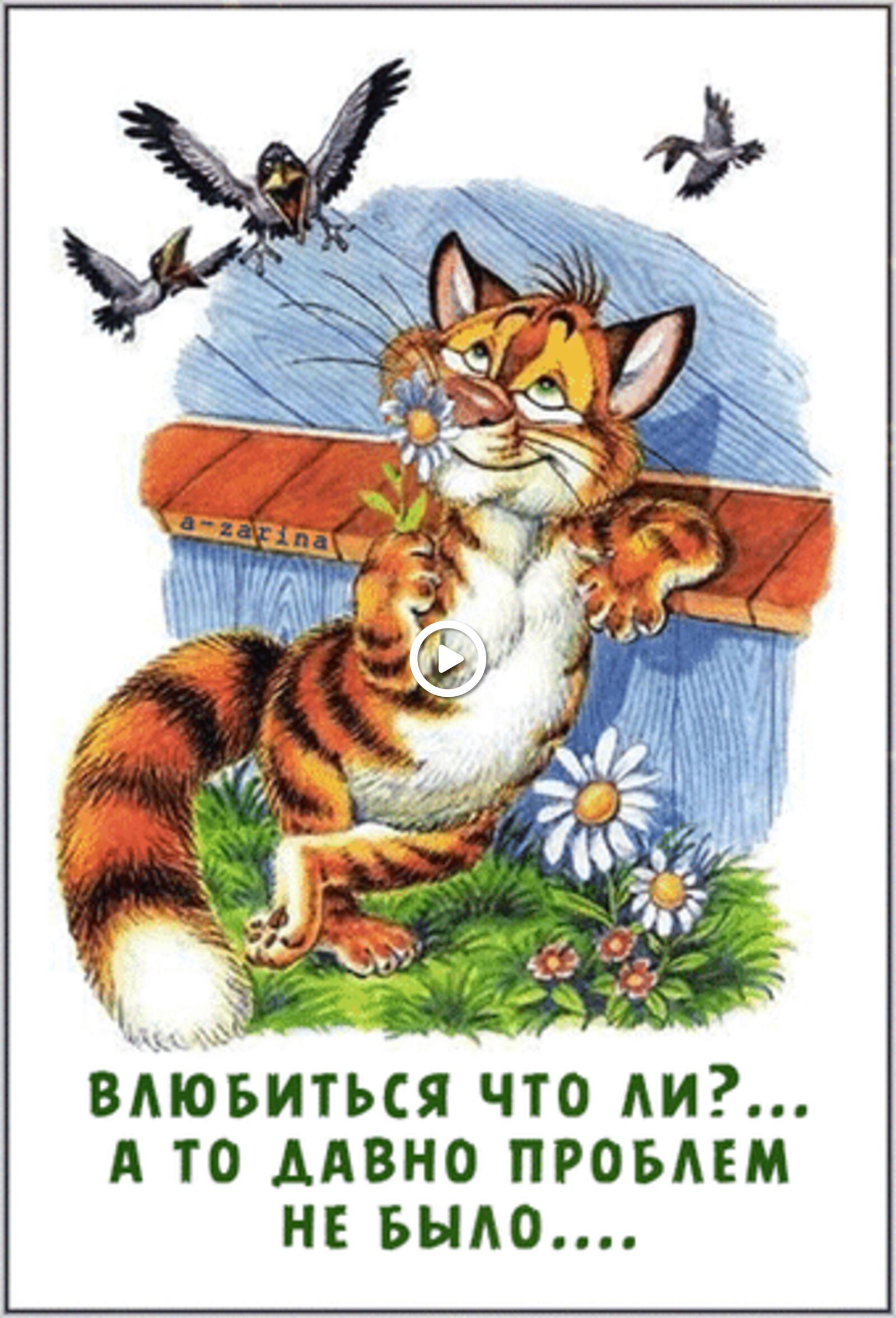 A postcard on the subject of romashka tiger humor for free