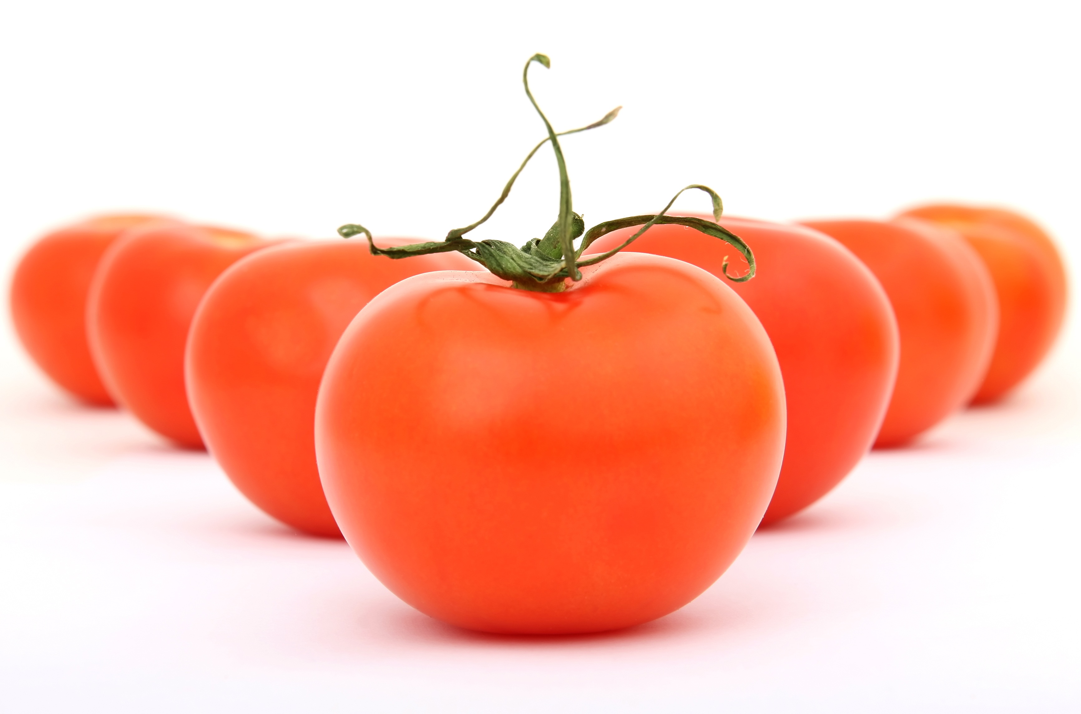 Фото бесплатно помидор, овощ, свежие
