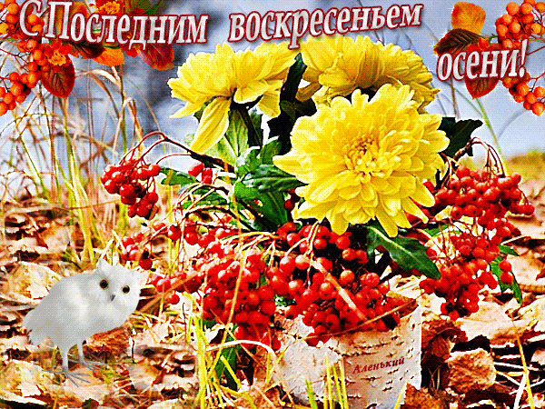 Postcard card happy last day of september flowers with the last Sunday of autumn - free greetings on Fonwall