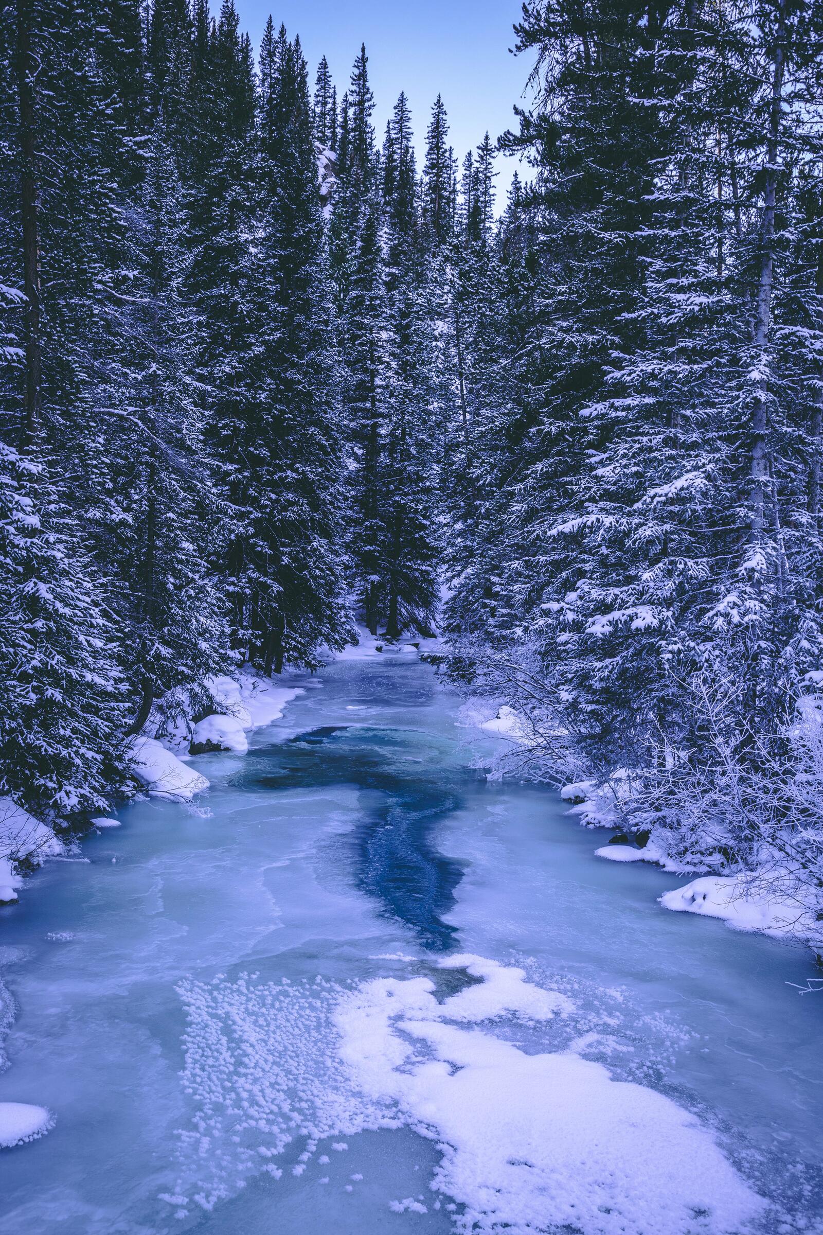 Wallpapers forest winter backgrounds river on the desktop