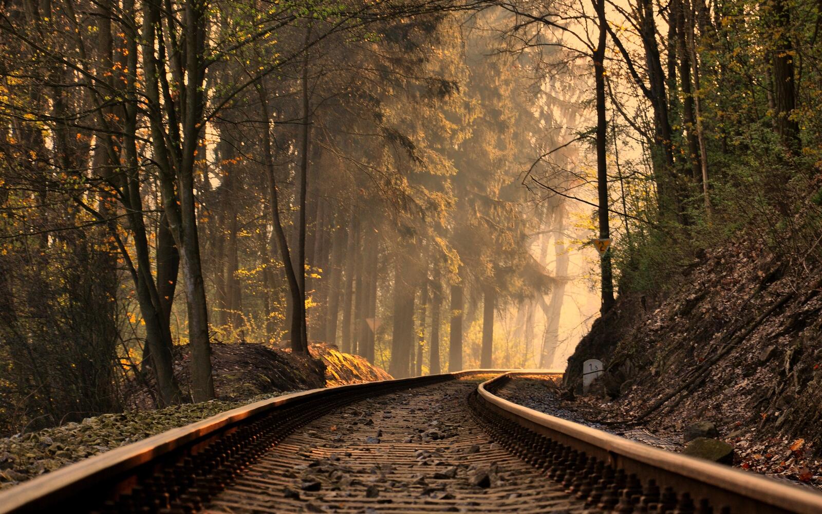 Обои железная дорога лес солнечные лучи на рабочий стол