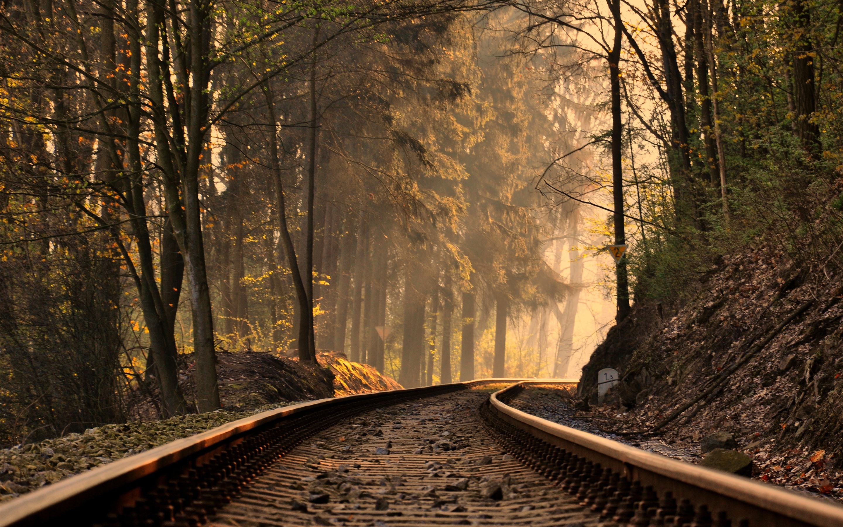 Wallpapers railway forest sun rays on the desktop
