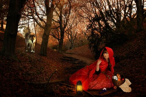 Little red riding hood and grey wolf