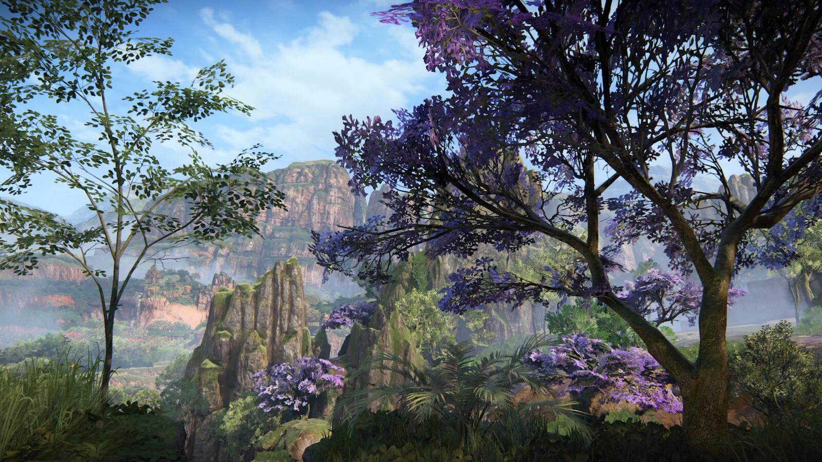 Wallpapers Uncharted The Lost Legacy uncharted forest on the desktop