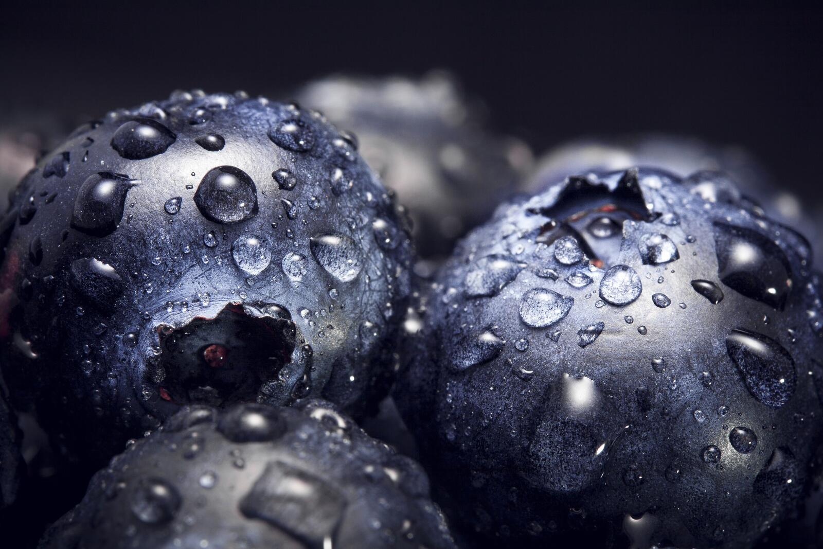 Wallpapers blueberry macro drops of water on the desktop