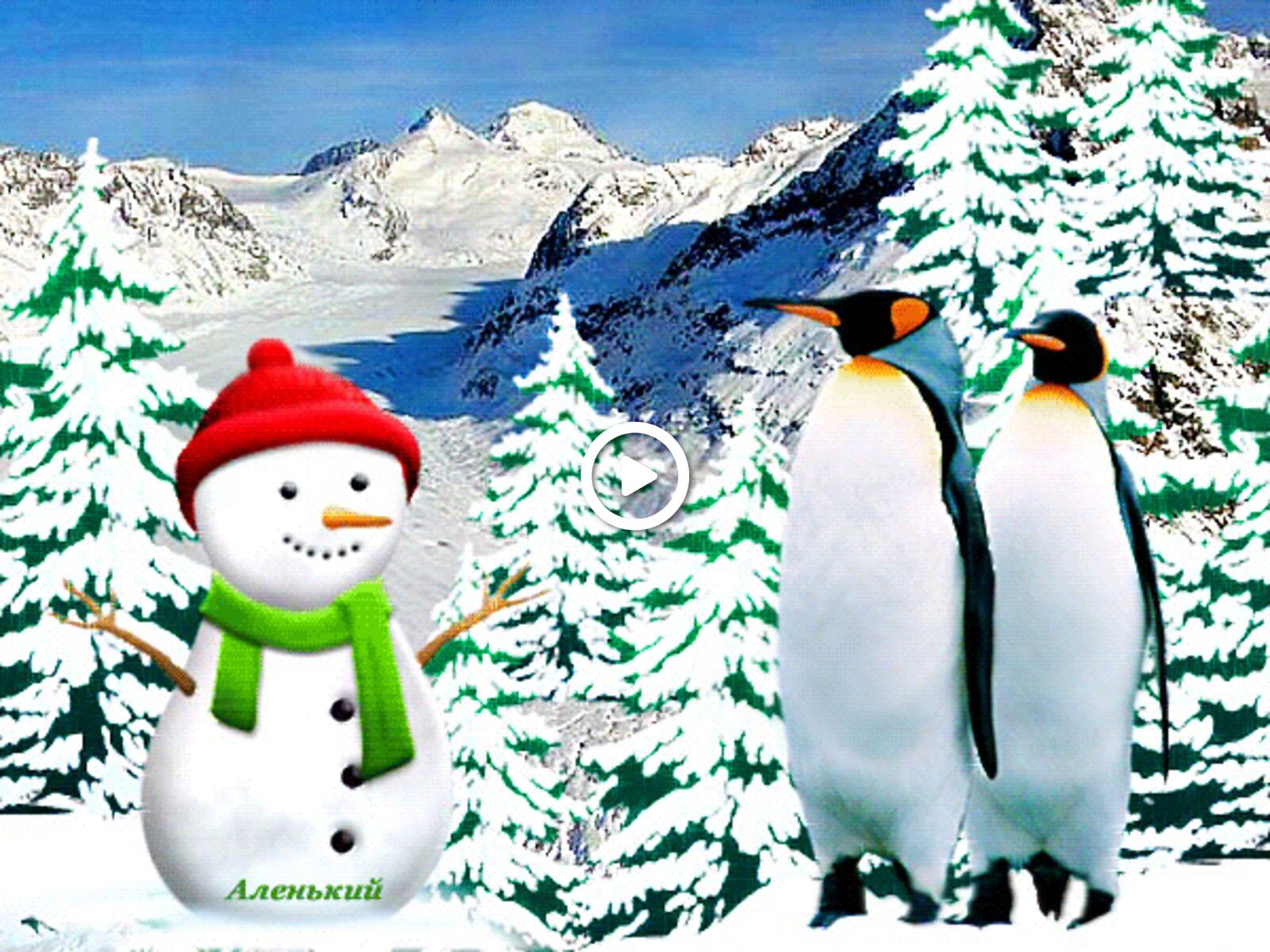 Открытка на тему елки в снегу пингвины птицы бесплатно