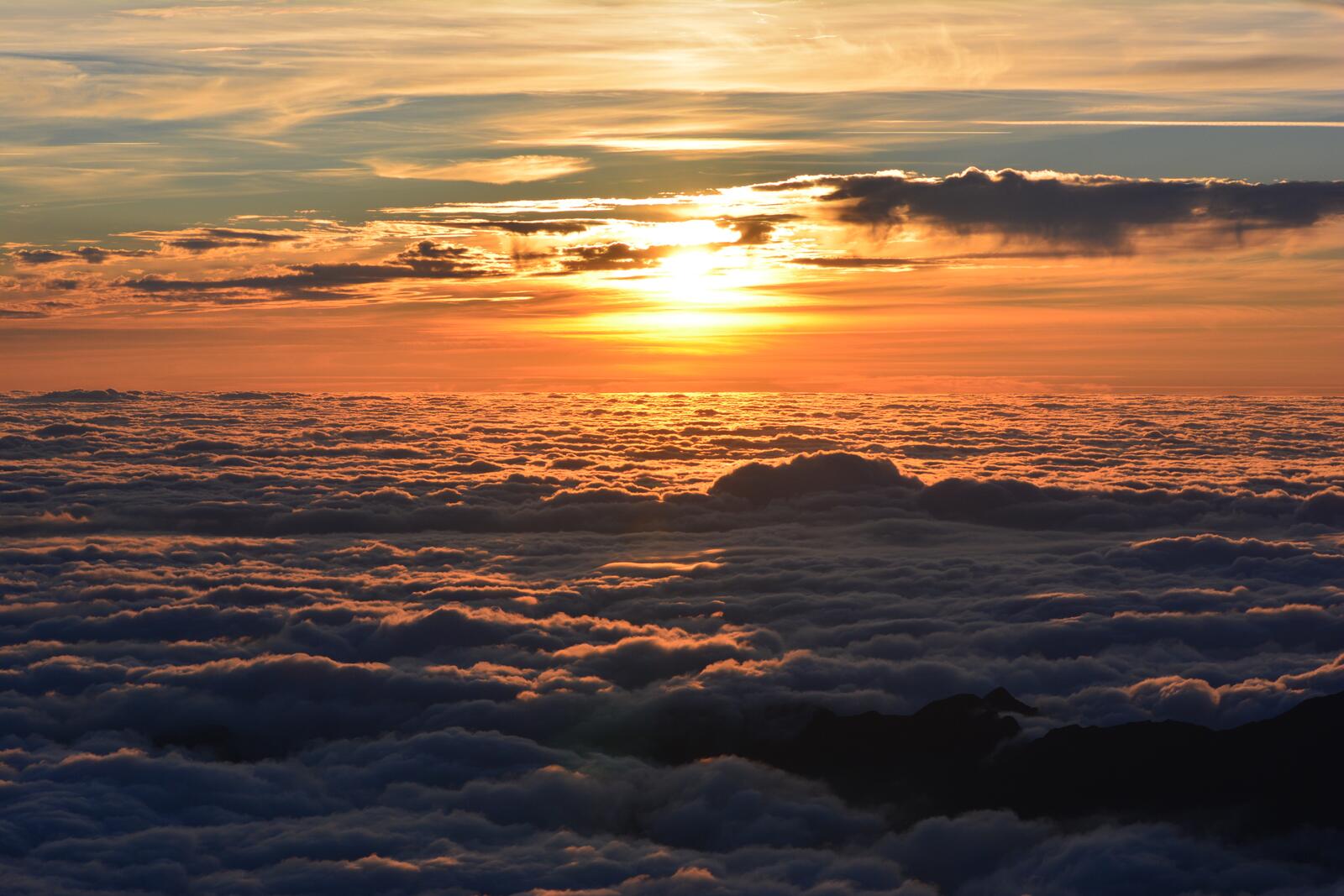 Wallpapers the sea of clouds above clouds landscape sunny on the desktop