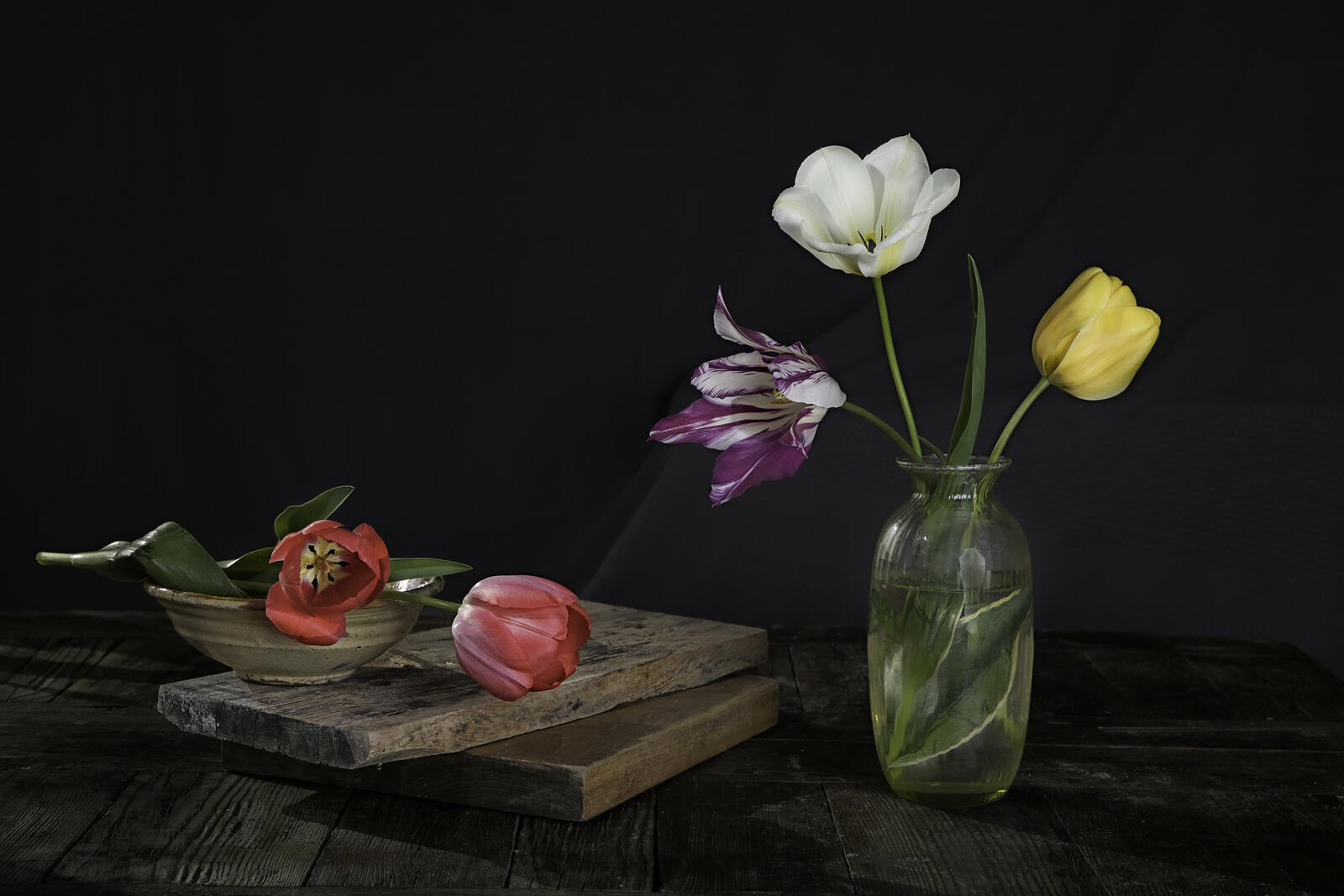 Обои цветы многоцветный тюльпан на рабочий стол