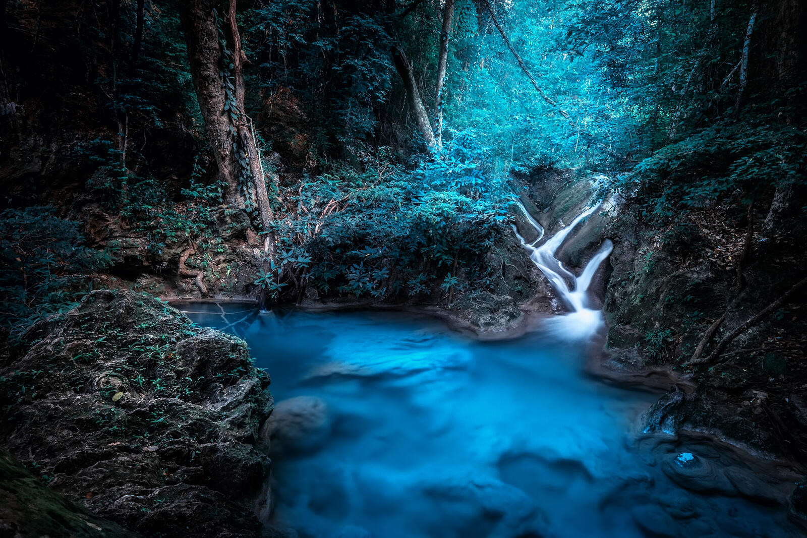 Wallpapers forest backlight waterfall on the desktop
