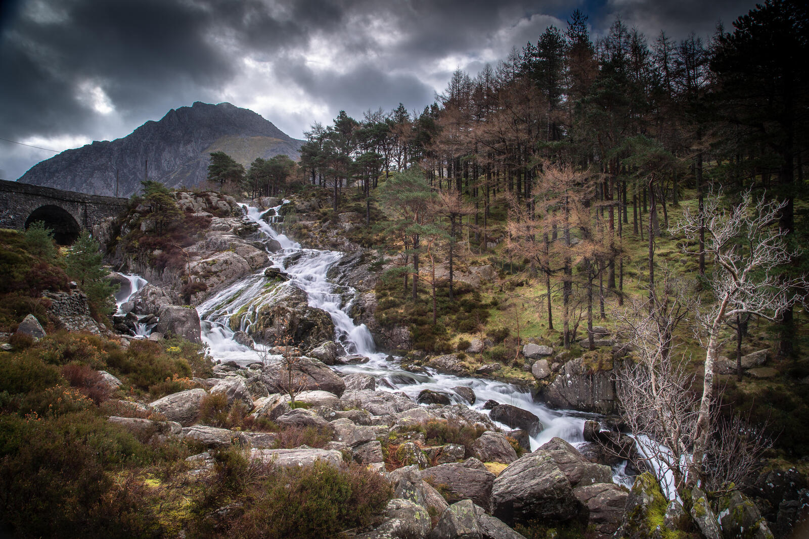 Wallpapers mountains rivers united kingdom mountains trees on the desktop