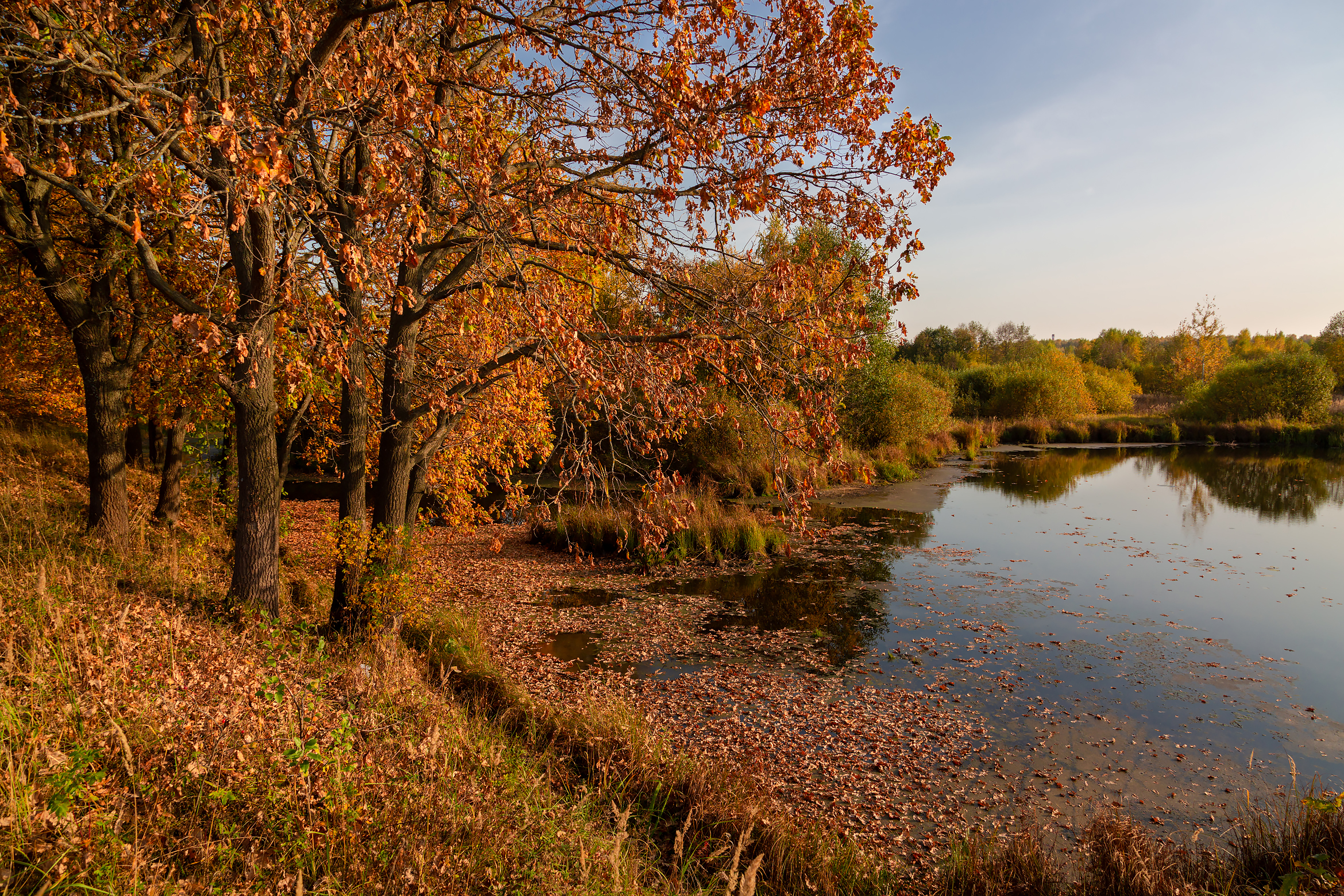 Бесплатное фото Осень и озеро